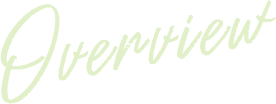 Overview